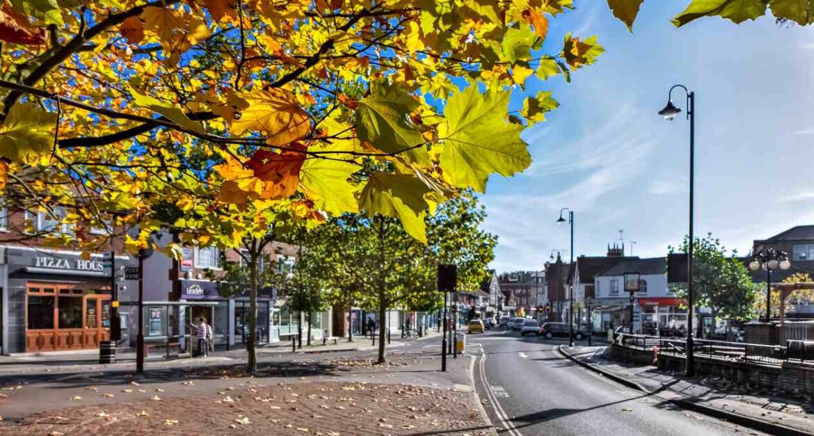 Hire a Man with Van in Islington